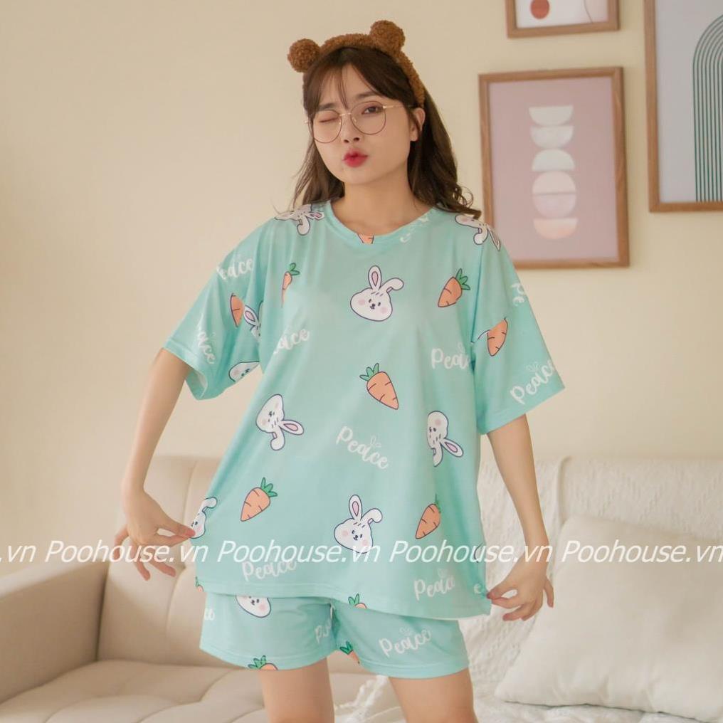 Pijama bộ đồ ngủ, bộ đồ nữ mặc nhà chất liệu cotton cộc tay áo phông, quần đùi - Poohouse BN-THONGOC ⚡