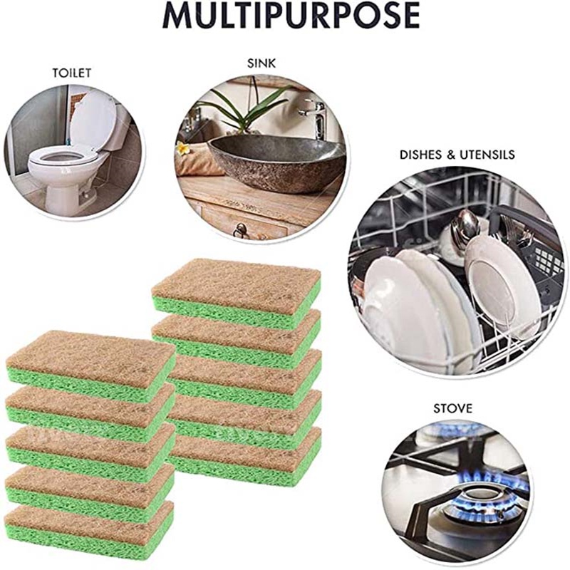 Bọt biển rửa chén bằng gỗ sồi tiện dụng cho nhà bếp