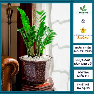 Chậu nhựa trồng cây cỡ lớn - chậu cây giả đá - chậu trồng cây cảnh đẹp tphcm - tree hub - chậu nhựa á đông