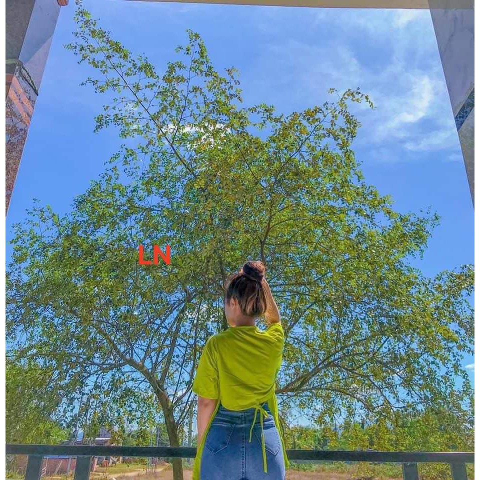 Áo phông buộc dây lưng LNG0321
