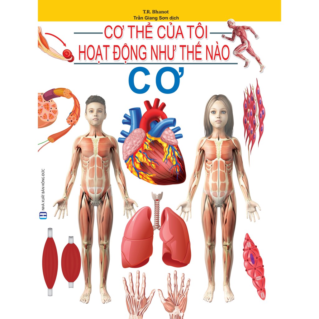 Sách - Cơ Thể Của Tôi Hoạt Động Như Thế Nào: Cơ