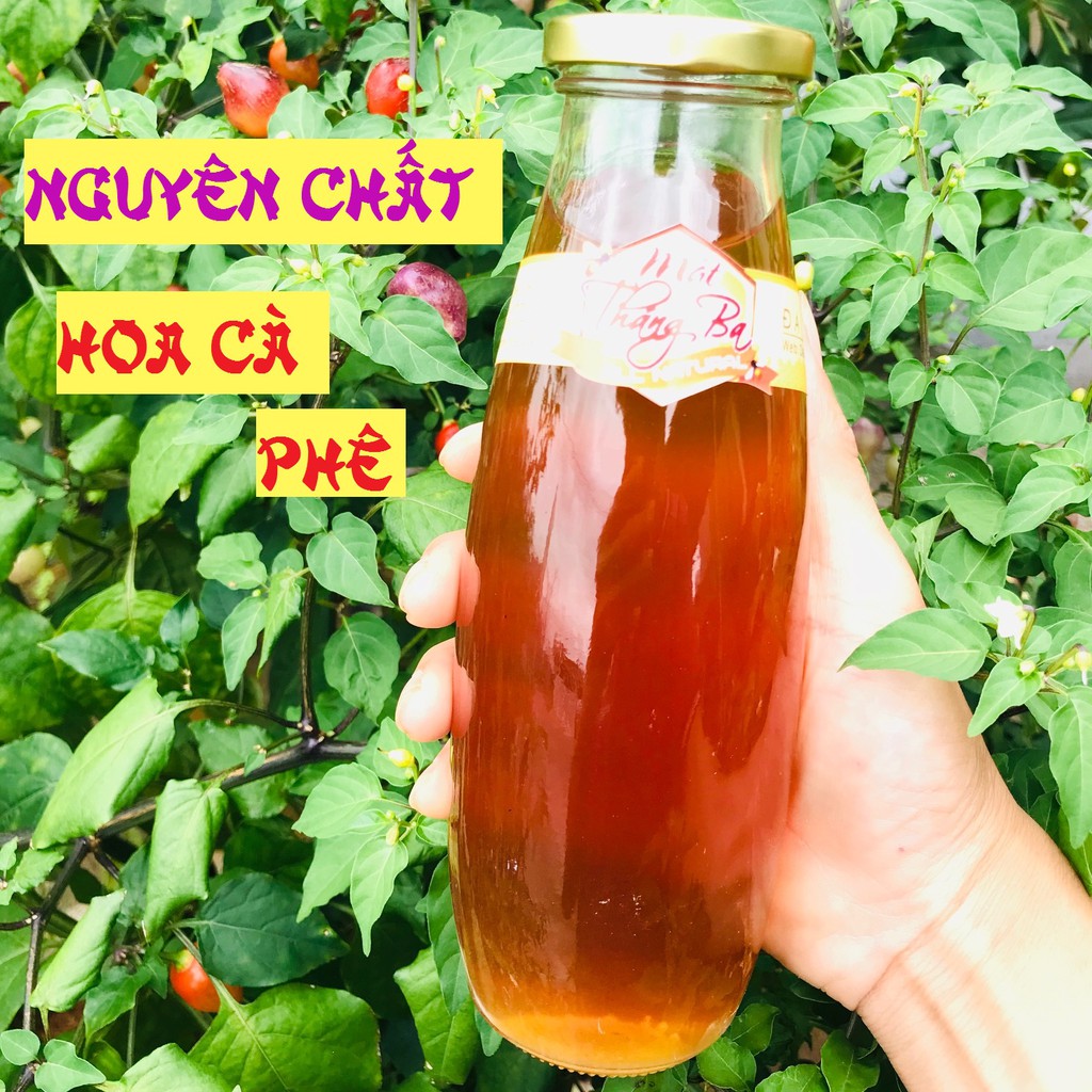 [NGUYÊN CHẤT]1 Lít MẬT ONG hoa Cà Phê | BigBuy360 - bigbuy360.vn
