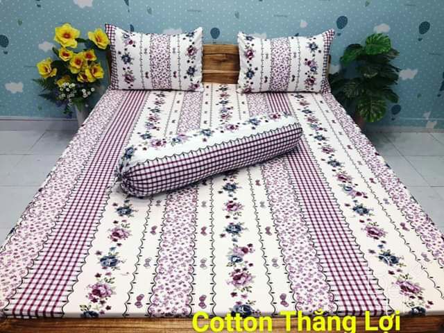 Chăn mền cotton Thắng Lợi,hàng chuẩn công ty có logo