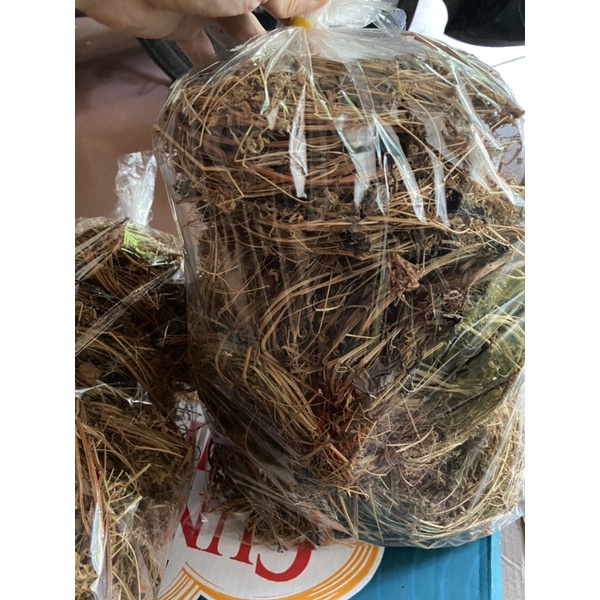 CÂY TẦM BÓP dây leo khô loại 1, mới, đẹp, vàng  1kg