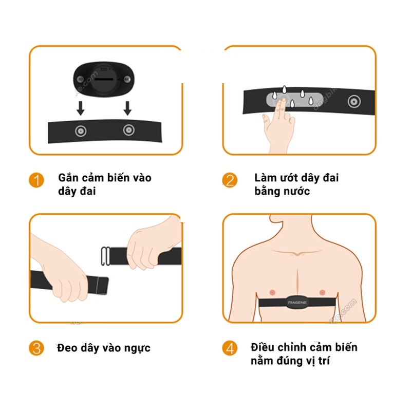 DÂY ĐO NHỊP TIM MAGENE H303