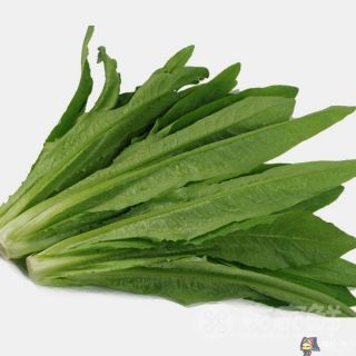5 gr hạt giống rau diếp thơm