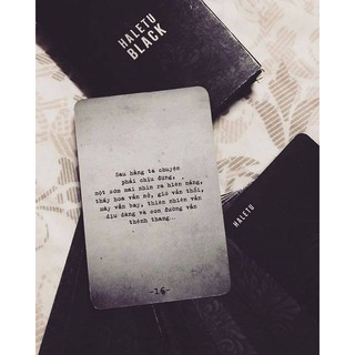 HALETU BLACK BÀI NHẮC NHỞ/ CÁO MÈO BÉO SHOP