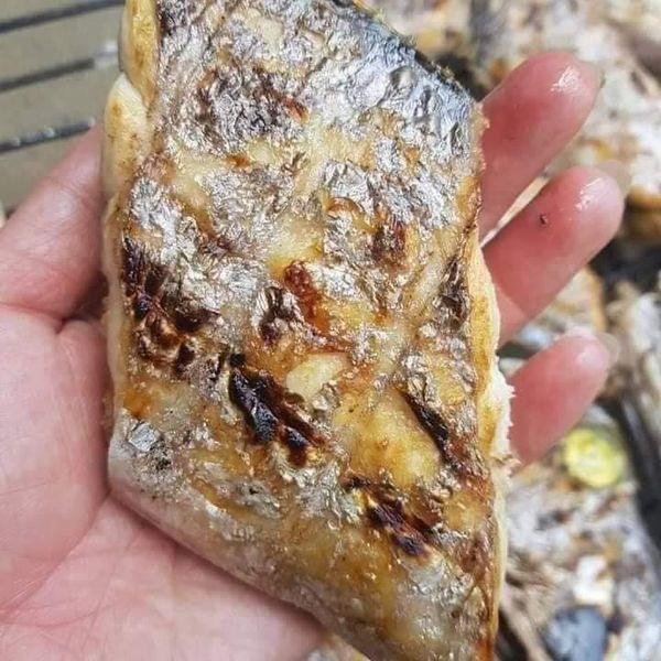 Cá hố biển khay 500gr