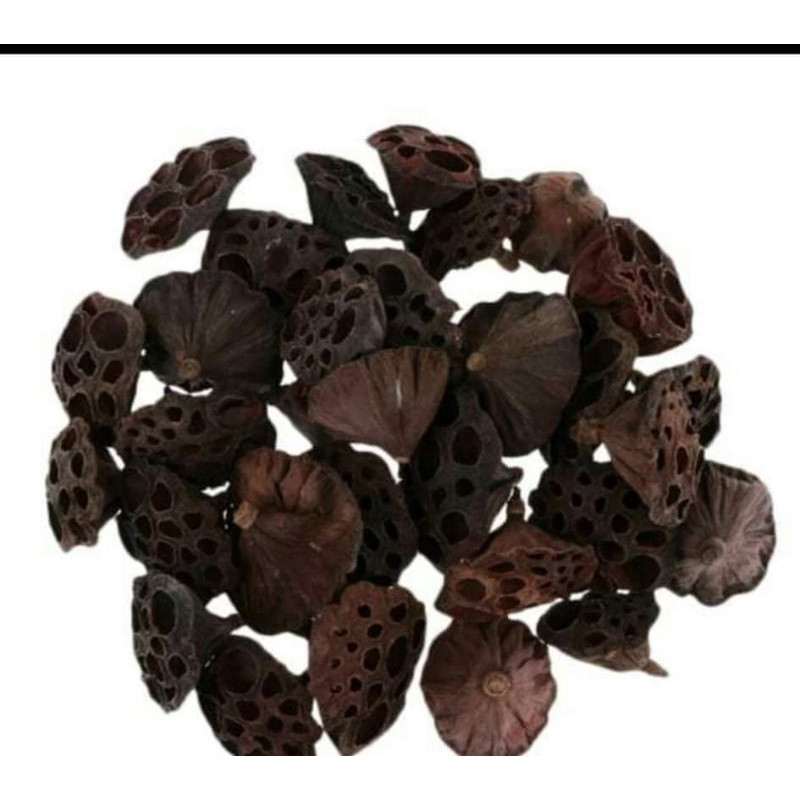 Đài hoa sen khô tự nhiên trang trí decor