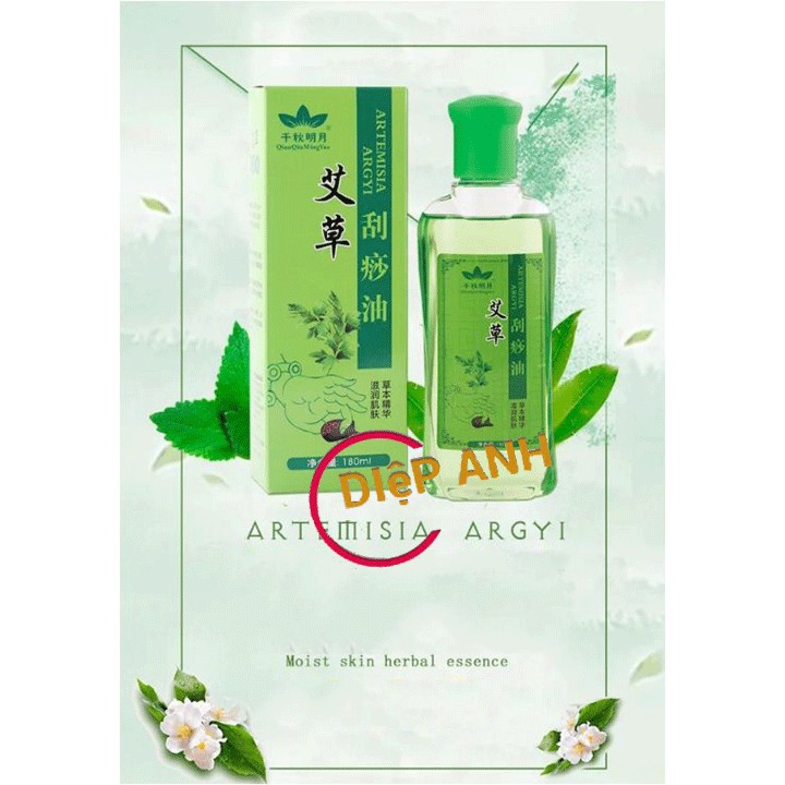 Dầu gừng, dầu ngải 180ml giảm béo, đả thông kinh lạc, cạo gió giác hơi
