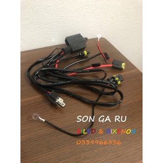 1 bộ dây role chân h4 12v ra 2 đầu , đấu nguồn các loại biled ,bixenon loại chống nước