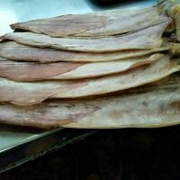 Khô mực size lớn dày ngọt