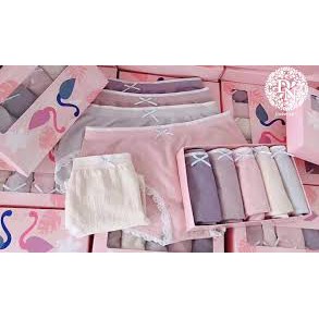 Hộp 5 chiếc quần chip kháng khuẩn ,hộp hình con hạc hồng (có sỉ)