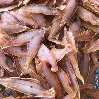 [FREESHIP 99K TOÀN QUỐC]Khô cá lưỡi trâu một nắng