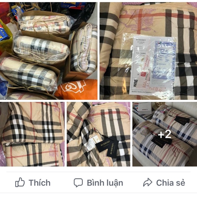 chăn cotton bur