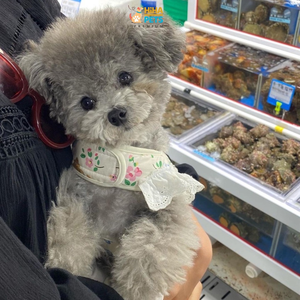 Dây Dắt Chó Mèo Đi Dạo Có Kèm Yếm Dây Dắt Thú Cưng Hàn Quốc Premium Hiha Pets.
