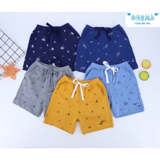 Quần đùi cotton da cá Dokma (2023)
