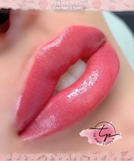 MỰC MÔI PERMA BLEND HỮU CƠ MỸ
