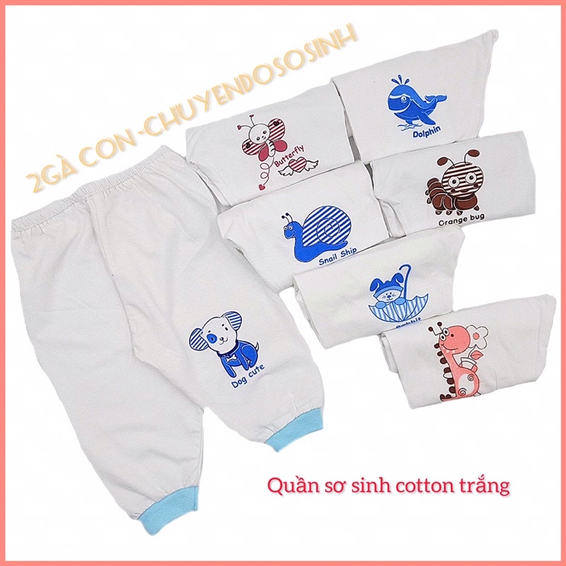 Quần dài sơ sinh cotton đẹp Thái Hà Thịnh trắng