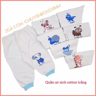 Quần dài sơ sinh cotton đẹp Thái Hà Thịnh trắng