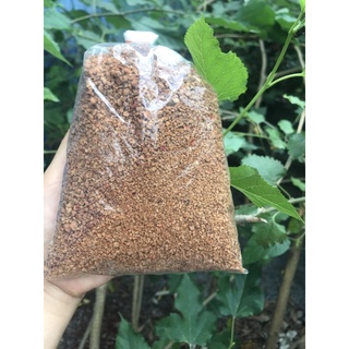 Muối chay Tây ninh 0,5kg