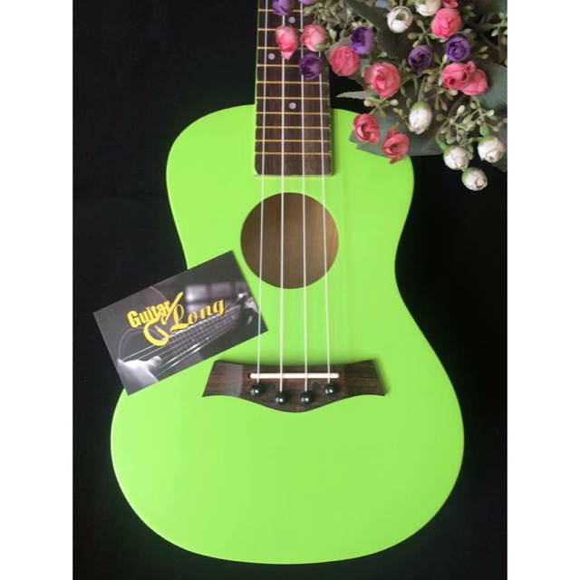 Đàn ukulele Concert