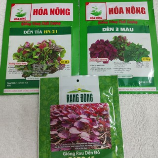 HẠT GIỐNG RAU DỀN 3 MÀU XANH ĐỎ TÍA HOÁ NÔNG