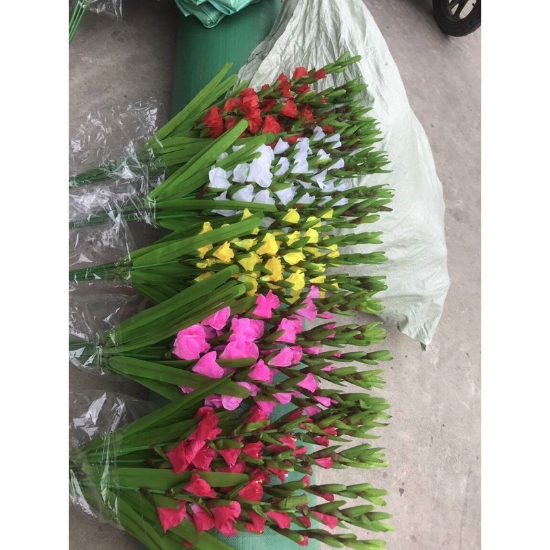 Cành hoa dơn cắm bình -1 bó /10 cành