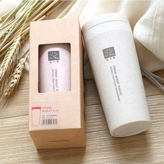 Bình Nước Giữ Nhiệt 300ml