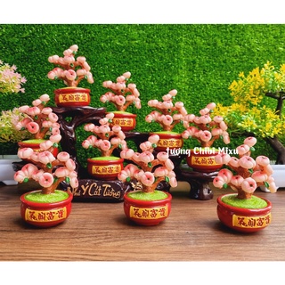 Chậu cây quả chibi dễ thương 10cm