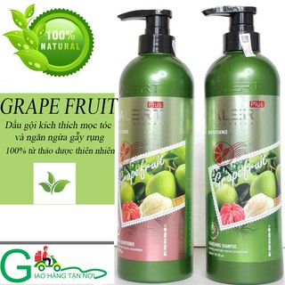 Dầu gội cặp, dầu gội bưởi grape fruit repair hair siêu mềm mượt 850ml mua ngay