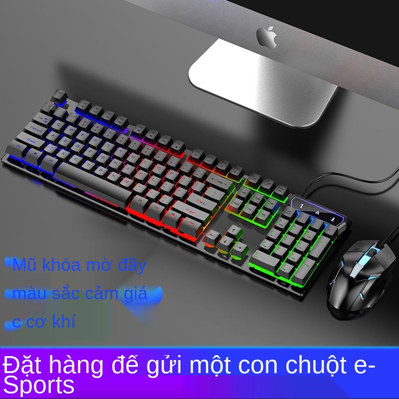 Bộ bàn phím và chuột Nobexing SK500 Gaming điều khiển phát sáng Cảm giác chơi game Máy tính để xách tay USB | BigBuy360 - bigbuy360.vn