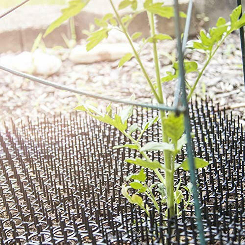 Thảm Gai Dừng Đuổi Mèo Đinh Tiện Dụng