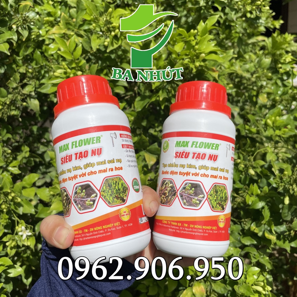 Phân Bón MAX FLOWER 250ml SIÊU TẠO NỤ Tạo Nhiều Nụ Kim, Giúp Mai Sai Nụ