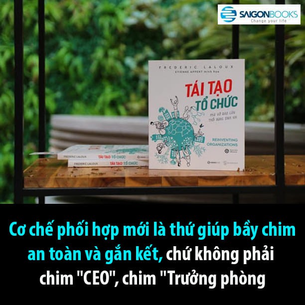 SÁCH: Tái tạo tổ chức: Phá vỡ rào cản, thổi bùng sinh khí (Reinventing Organizations) - Tác giả: Frederic Laloux