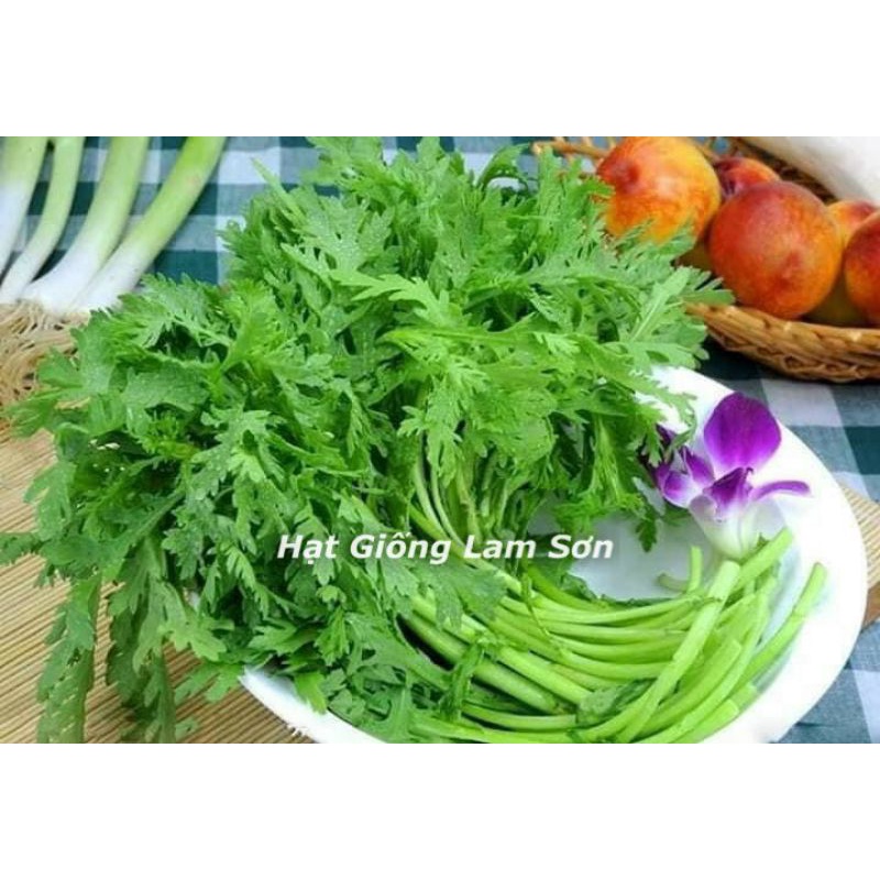 HẠT GIỐNG RAU TẦN Ô ( CẢI CÚC ) - Loại Rau Ăn Mát, Dễ Trồng.