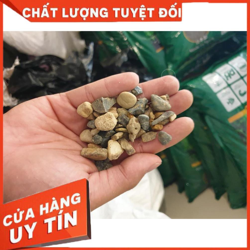 [Gía hủy diệt] Sạn suối thiên nhiên trải nền bể cá 1 kg