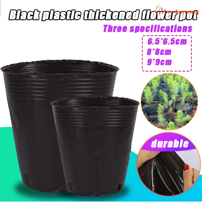 Bộ 50 chậu nhựa ươm mầm trồng cây chất lượng