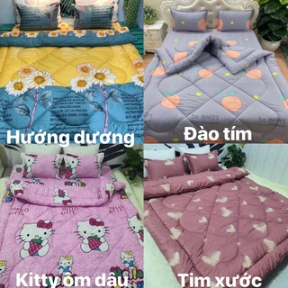 Set chăn phao ga gối poly