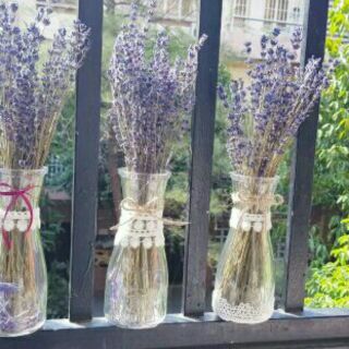 Lọ hoa Lavender nhập khẩu Pháp