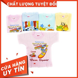 [RẺ+ĐẸP] Combo 5 Áo bo cổ tay ngắn màu Nanio