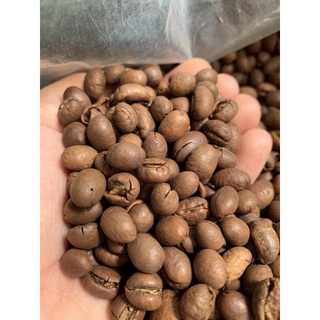 cà phê culi robusta 500g