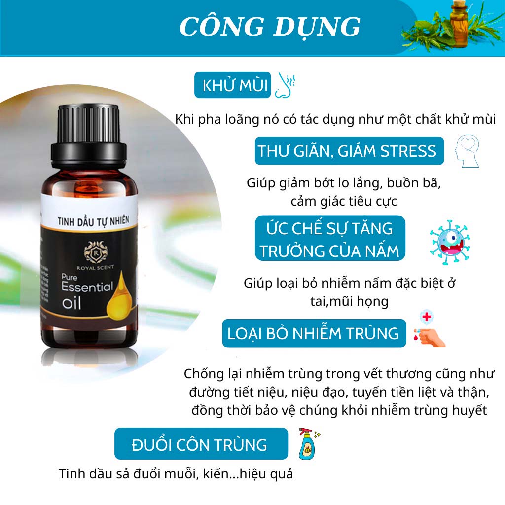 Tinh dầu sả chanh thiên nhiên thơm phòng đuổi muỗi nguyên chất Royal Scent