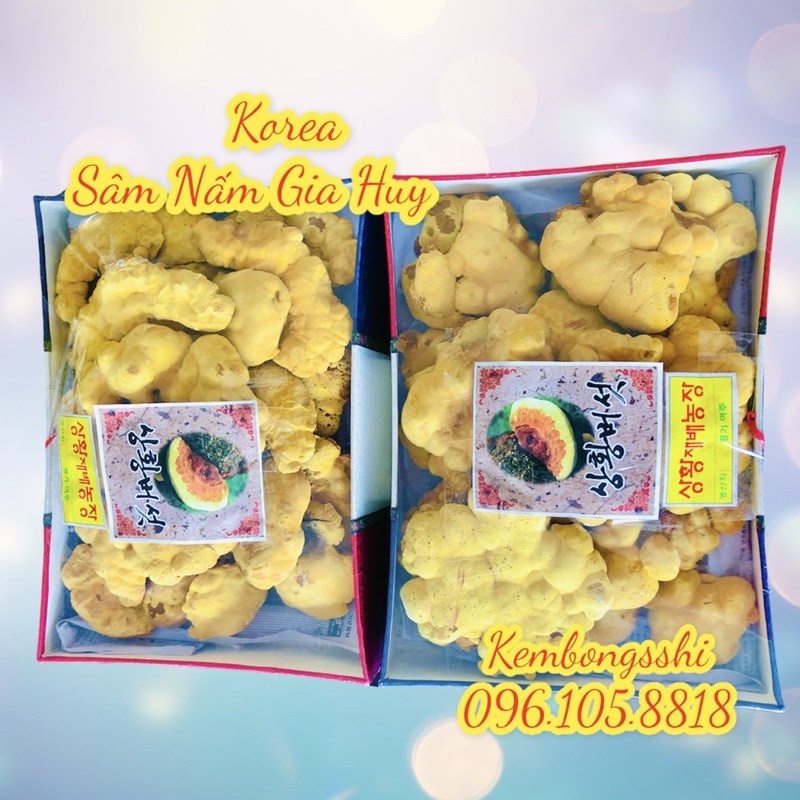 [HÀNG MỚI VỀ] Nấm Thượng Hoàng Hộp Cờ Hàn Quốc, Hộp 500gr