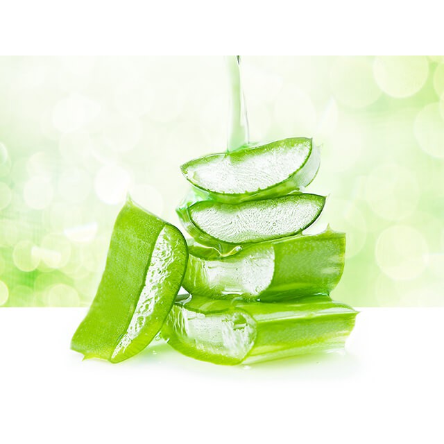 Thạch Nha Đam Aloka 1kg - Thanh Mát Cơ Thể Sáng Đẹp Làn Da | BigBuy360 - bigbuy360.vn