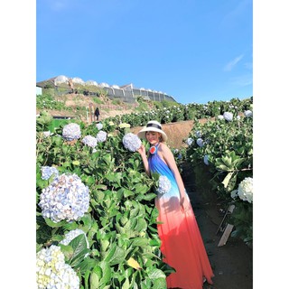 Đầm maxi sang chảnh