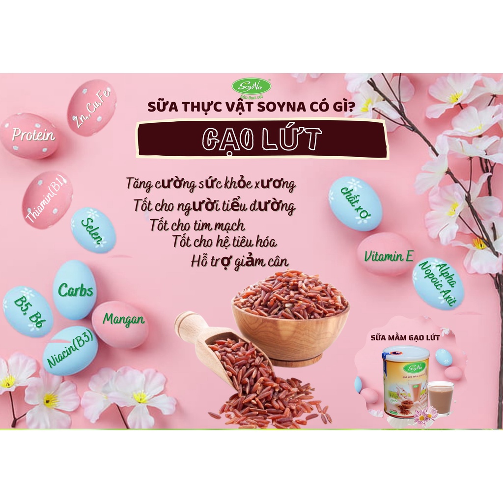 Sữa Gạo Lứt Nẩy Mầm Soyna 400gr - Không thành phần công thức