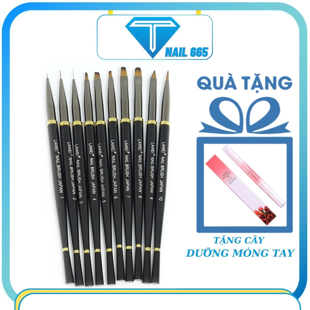 Cọ vẽ nail trang trí móng tay , Bộ cọ LAWEI nhật bản 10 cây vẽ hoa đắp gel ,nét ,tròn bản