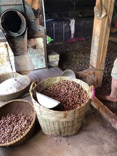 Hạt Điều Rang Muối bán sỉ