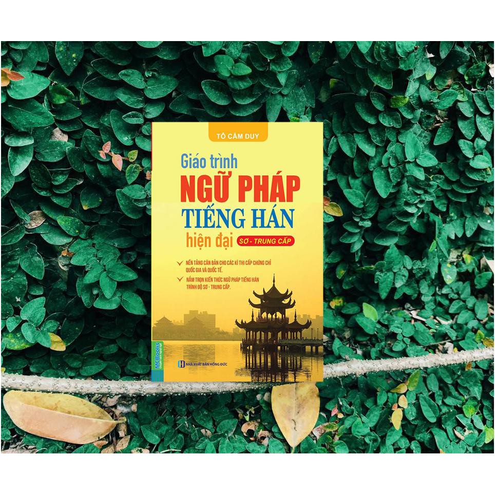 Sách Giáo Trình Ngữ Pháp Tiếng Hán Hiện Đại (Sơ - Trung Cấp)